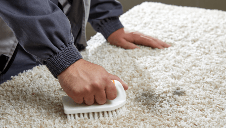 Professional Rug Cleaning Delacombe
